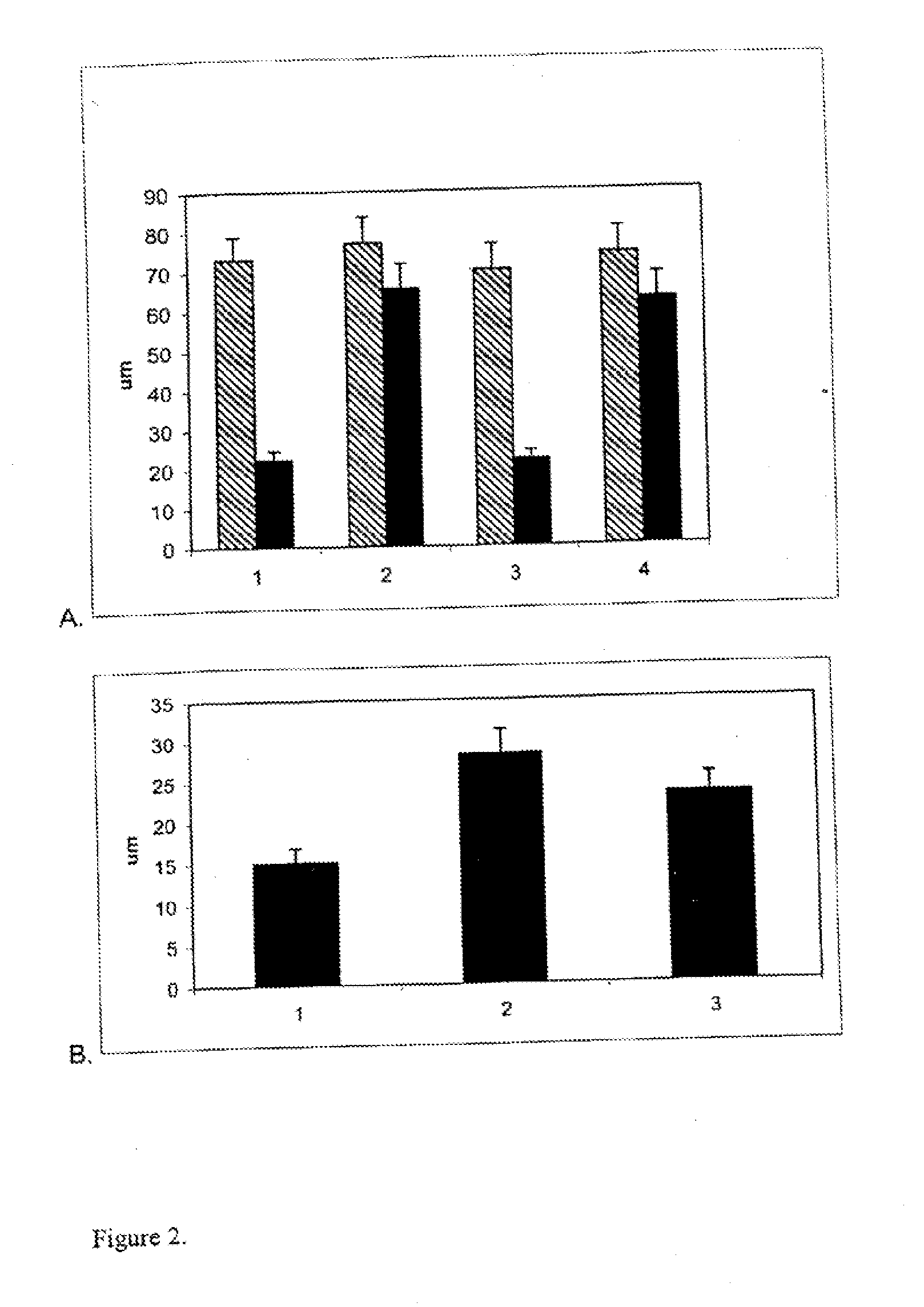 Methods for stimulating nervous system regeneration and repair by inhibiting phosphodiesterase type iv