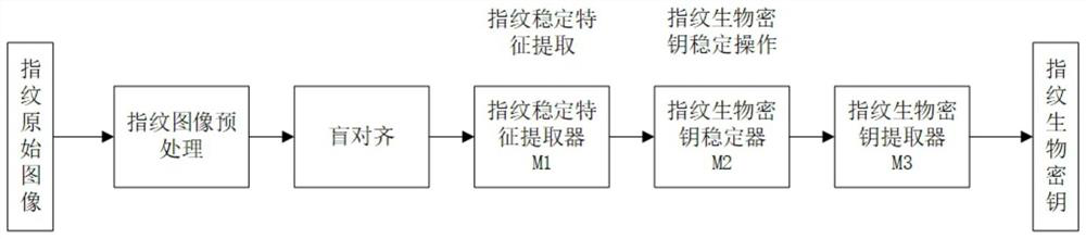 Fingerprint biometric key generation method based on deep neural network coding