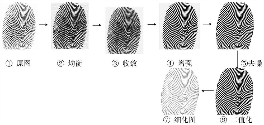Fingerprint biometric key generation method based on deep neural network coding