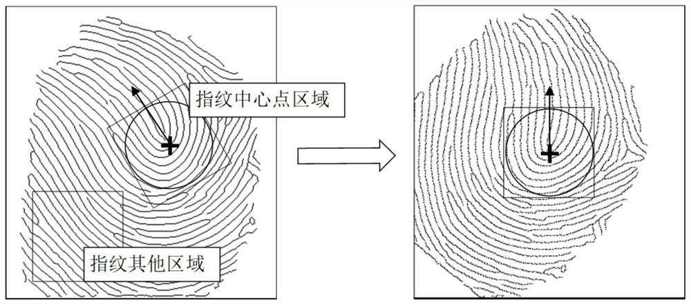 Fingerprint biometric key generation method based on deep neural network coding
