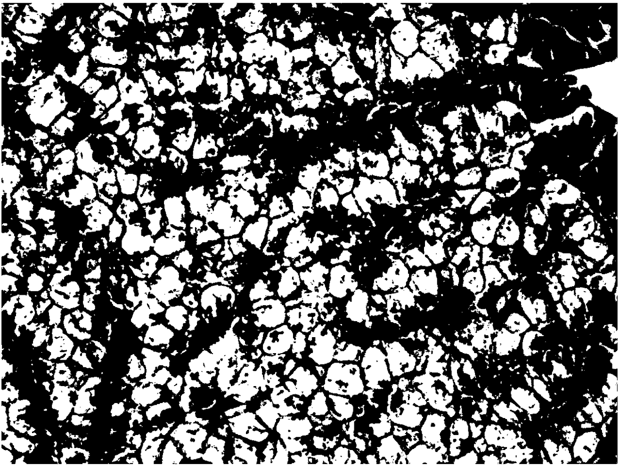 Compound florfenicol preparation for aquatic animals and preparation method of compound florfenicol preparation for aquatic animals