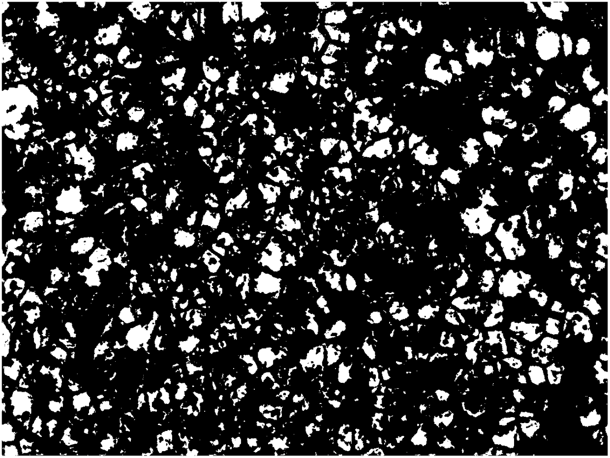 Compound florfenicol preparation for aquatic animals and preparation method of compound florfenicol preparation for aquatic animals