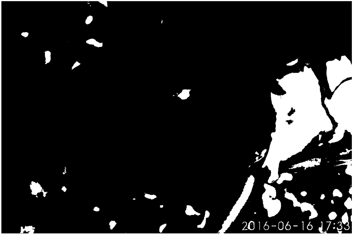 Compound florfenicol preparation for aquatic animals and preparation method of compound florfenicol preparation for aquatic animals