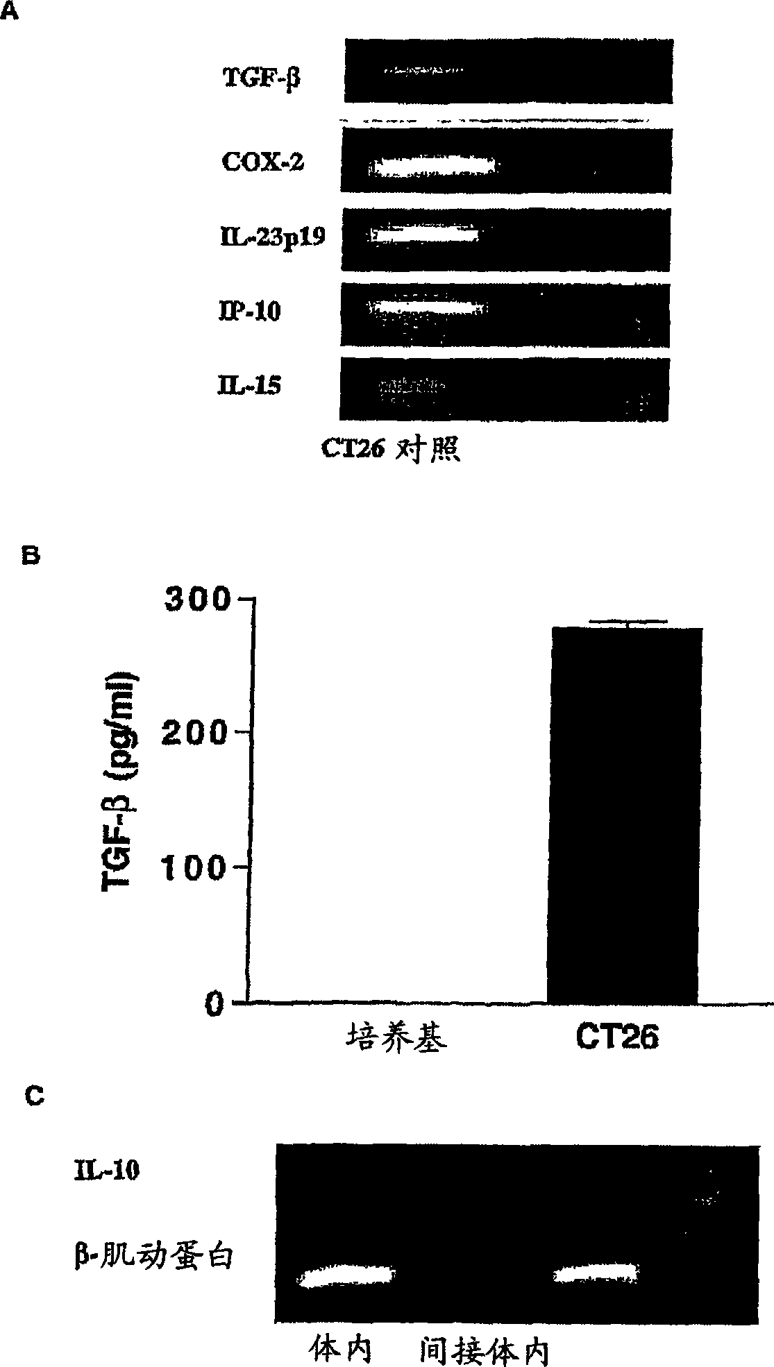 Compositions and methods relating to treatment of cancer and infectious diseases