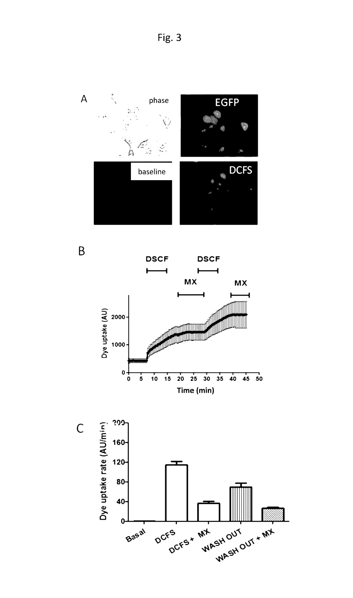 Specific modulators of connexin hemichannels