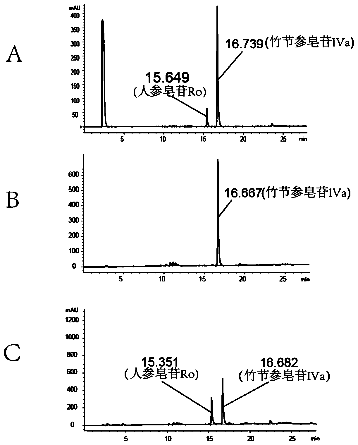 Panax japonicus var. major glycosyl transferase UGTPjm1 gene and application thereof in preparing ginsenoside Ro