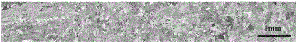 Establishment method of simulation model for fdtd ultrasonic testing of coarse-grained materials based on ebsd map