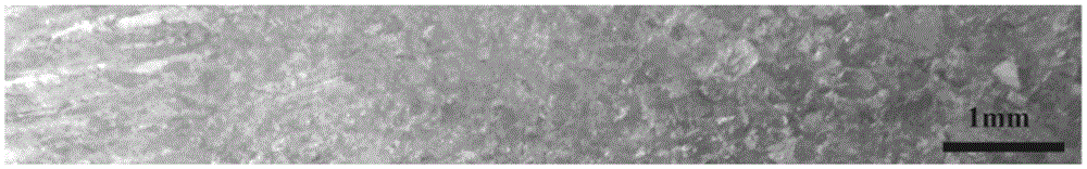 Establishment method of simulation model for fdtd ultrasonic testing of coarse-grained materials based on ebsd map