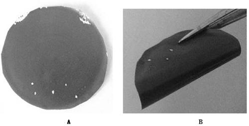 General preparation method for reduced graphene oxide-based composite film
