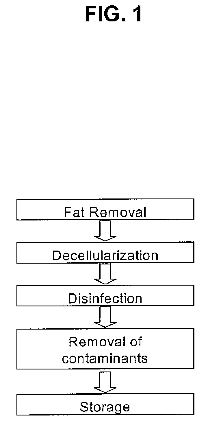 Decellularized omentum matrix and uses thereof