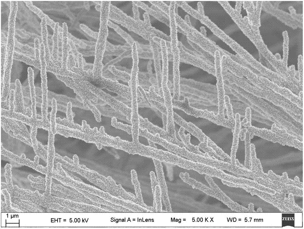 Three-dimensional metal nanowire and preparation method thereof
