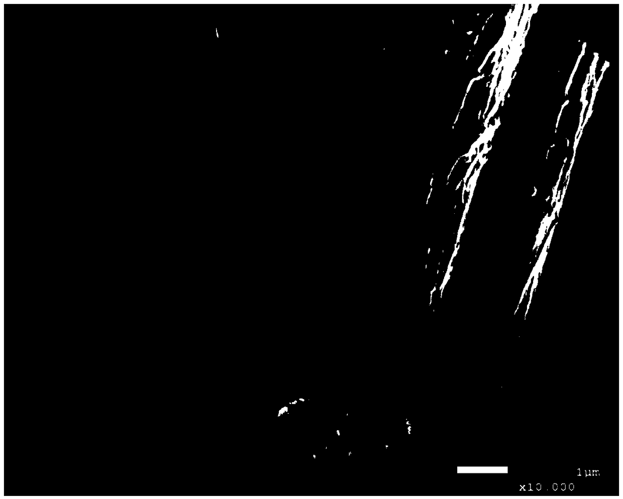 Extraction method of sea cucumber collagen fiber