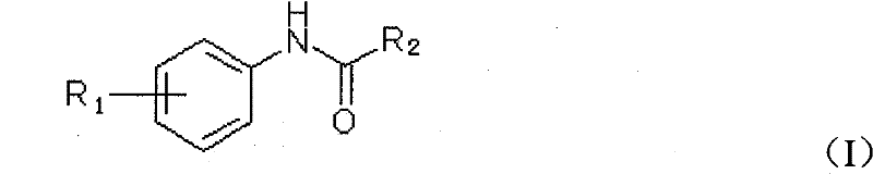 Diesel cetane number improver composition and diesel containing the same