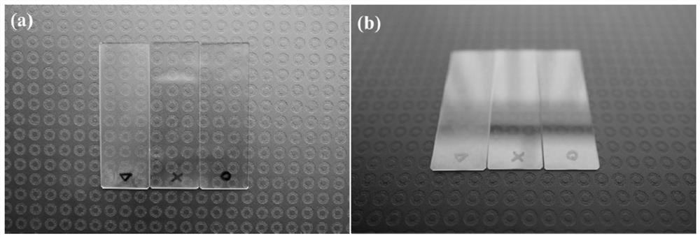A kind of lens long-acting anti-fog silicon-based gel anti-fog agent and its preparation method and application