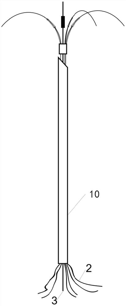 A multi-claw active conformal ablation needle with magnetic control