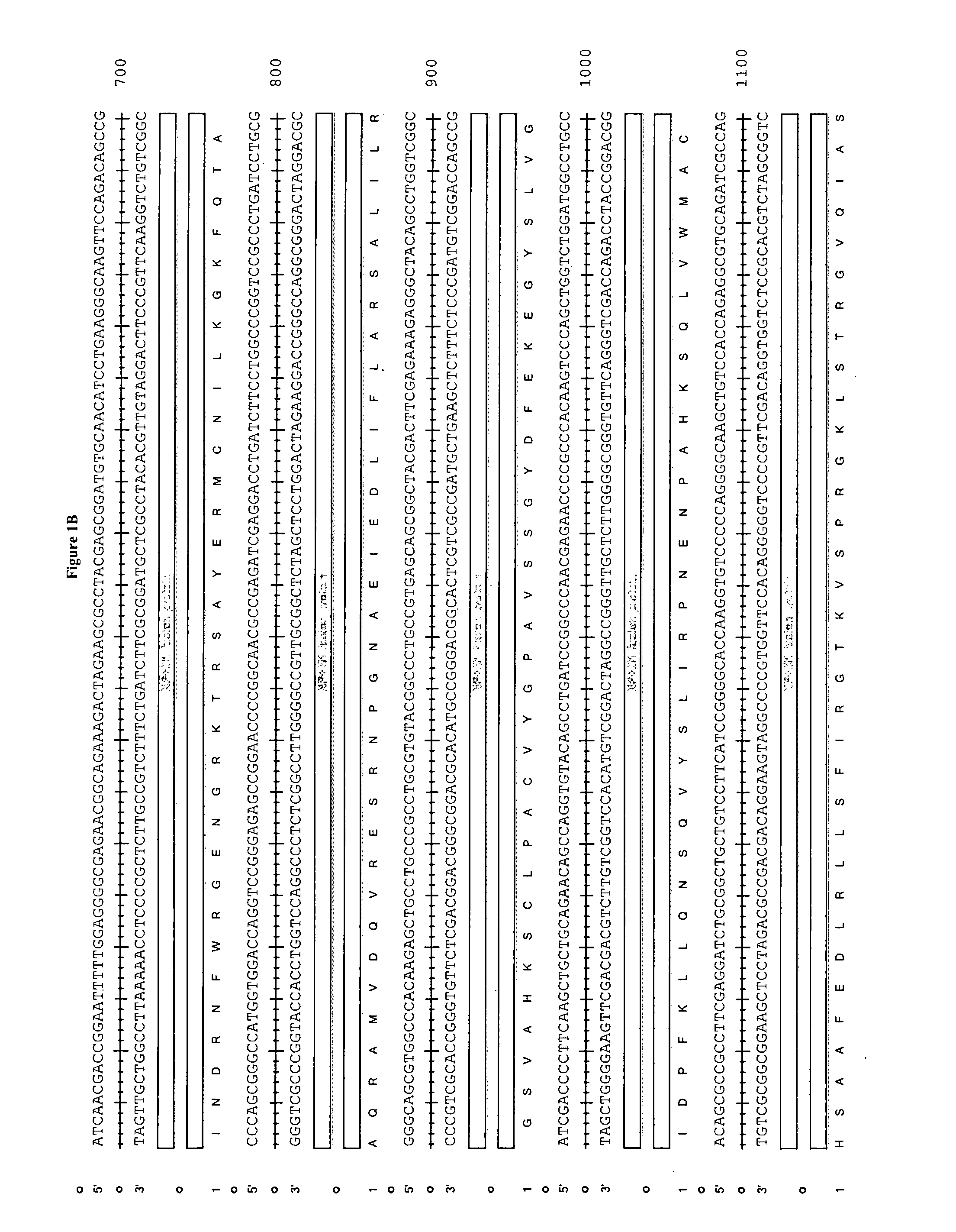 Compositions and Methods