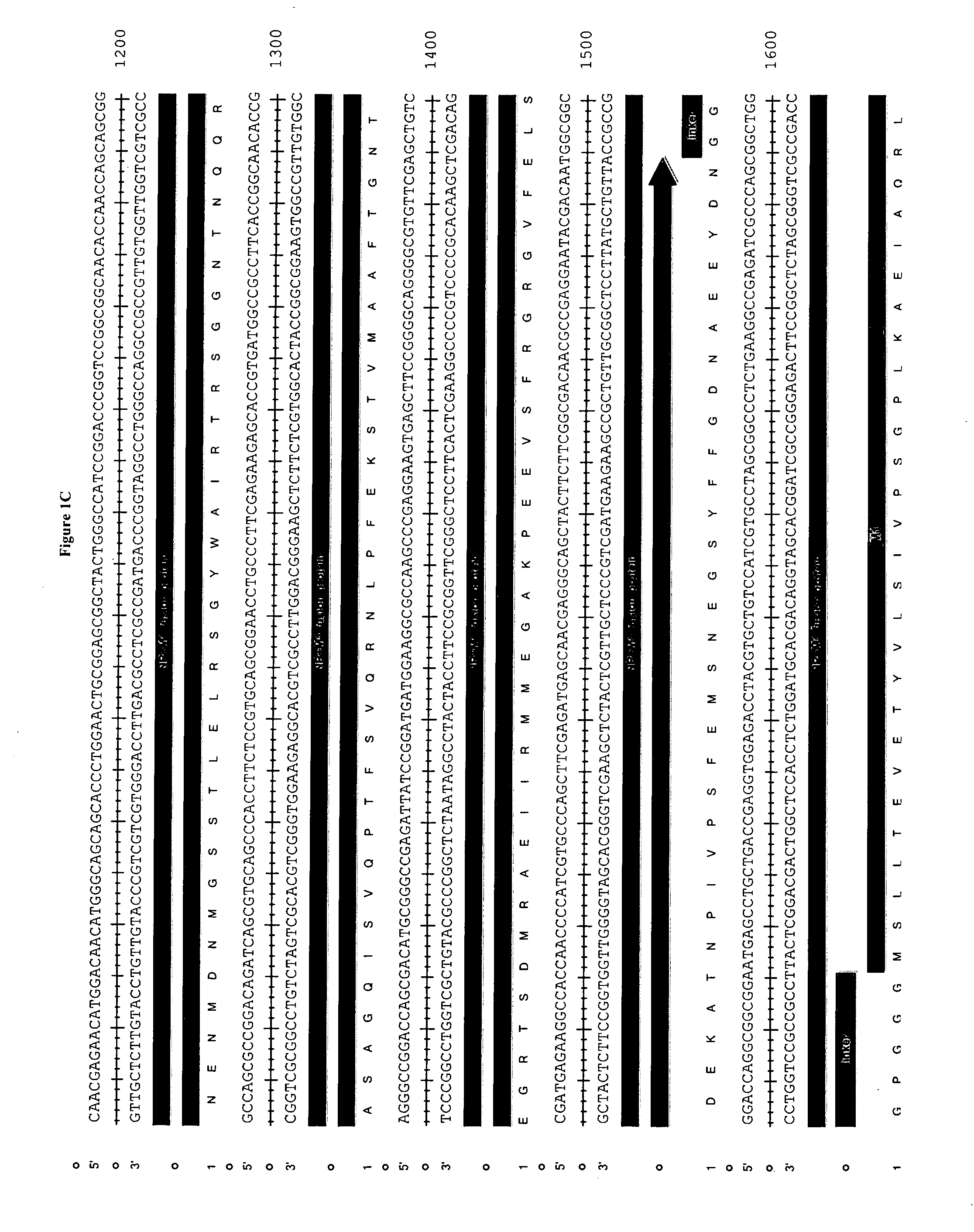 Compositions and Methods