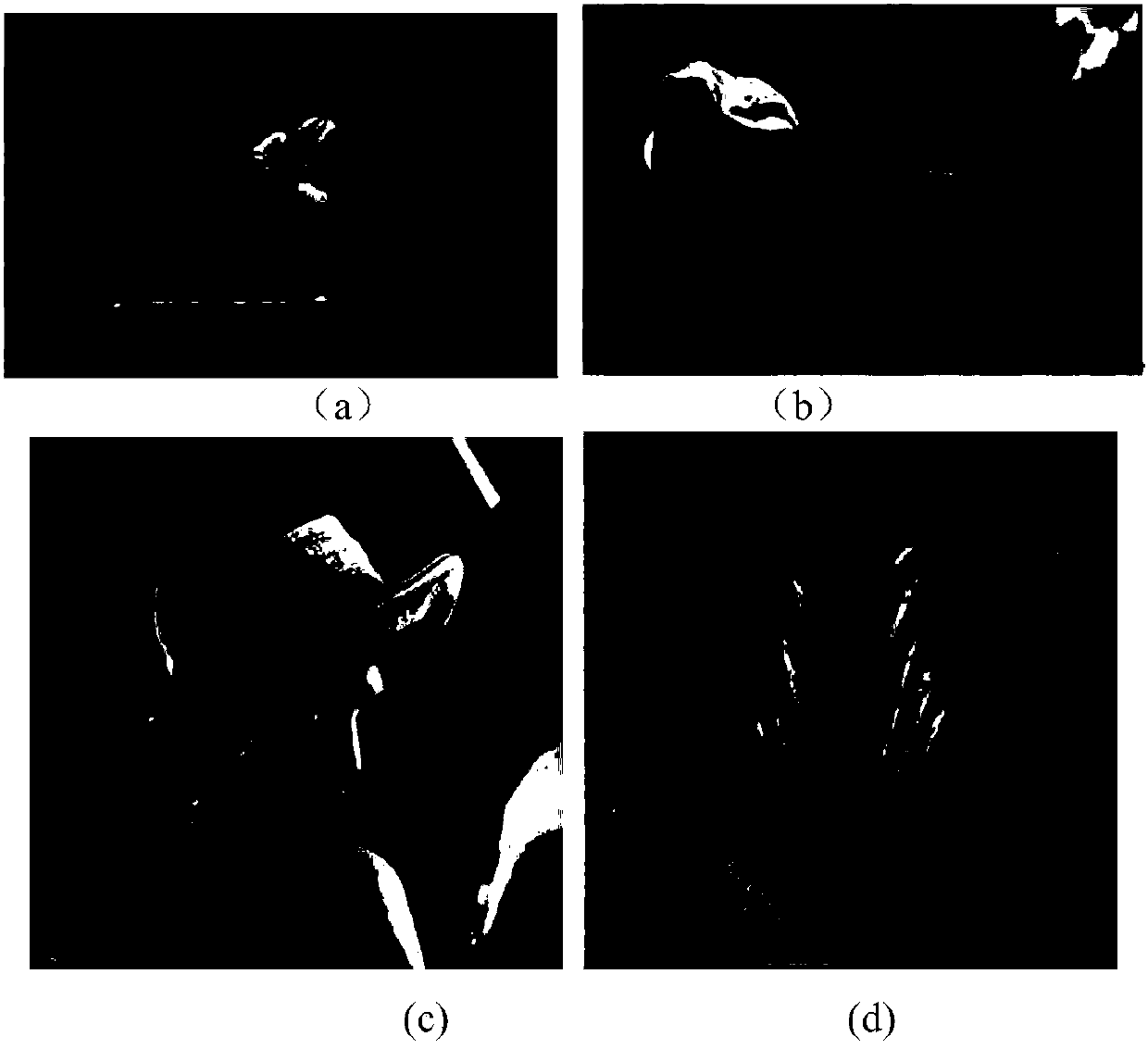 A method and device for improving image quality