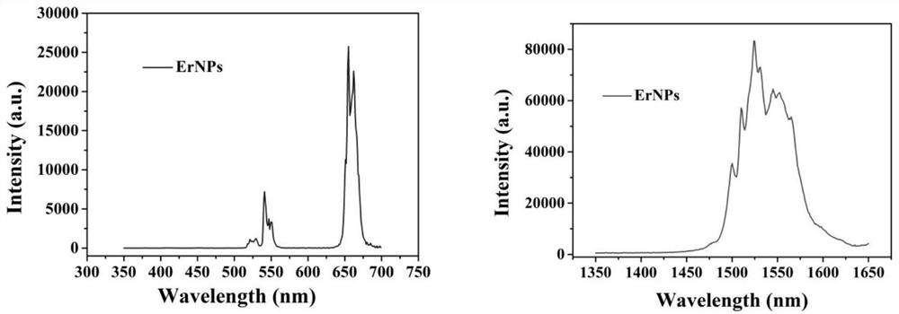 A kind of covid-19 antigen detection card, its preparation method and application