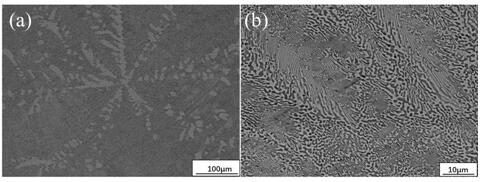 Microalloying gold and tin alloy material and preparation method thereof