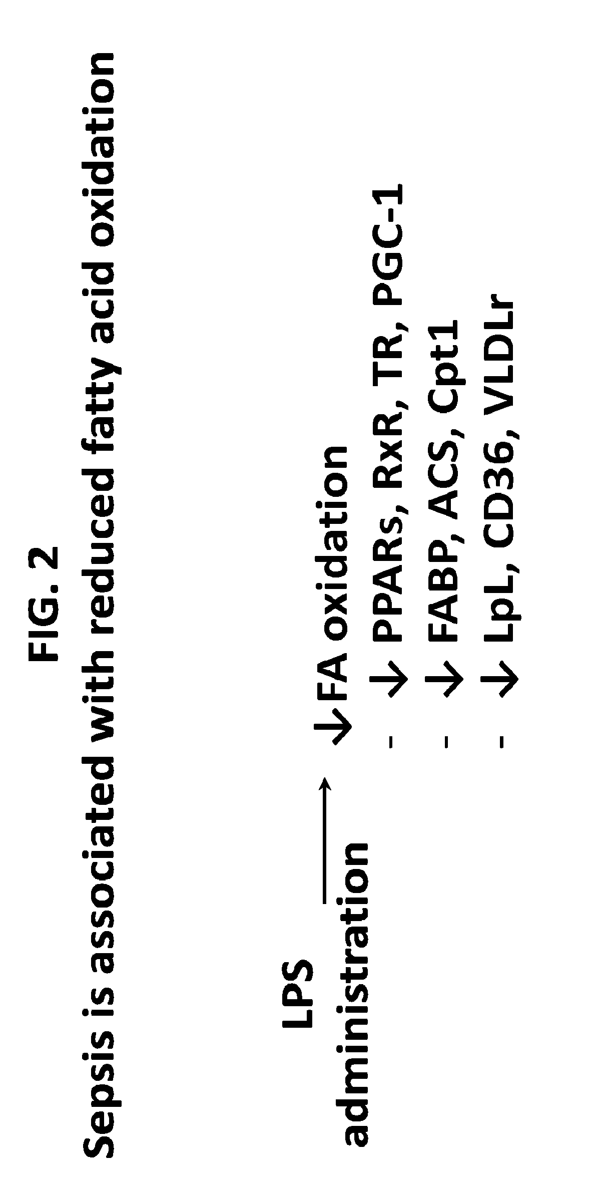 Methods for Treating and Preventing Cardiac Dysfunction in Septic Shock