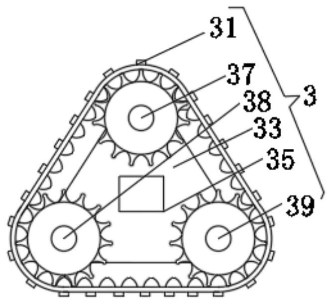 Enteromorpha prolifera cleaning equipment