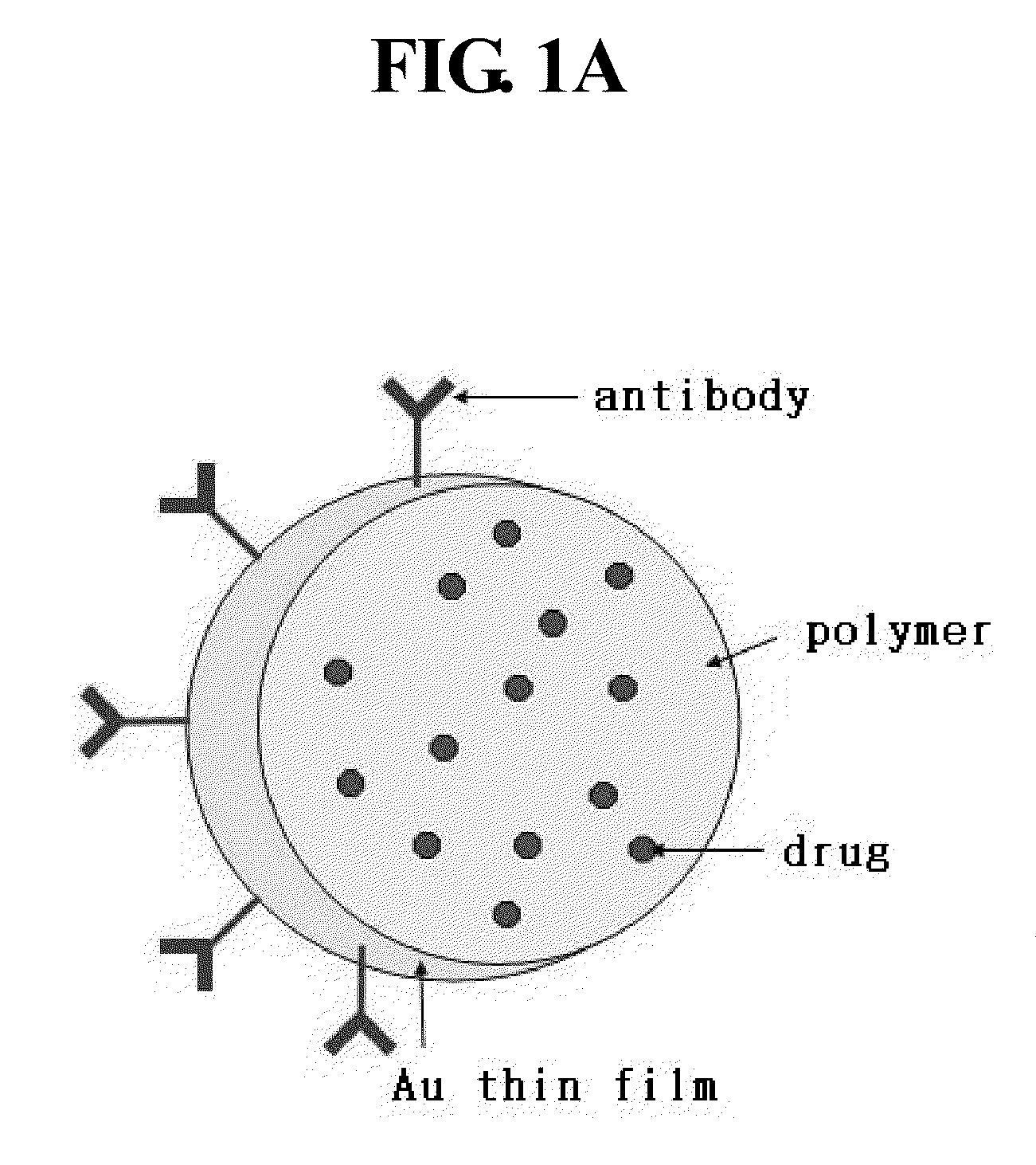 Multi-functional nanoparticles partially-deposited with gold film