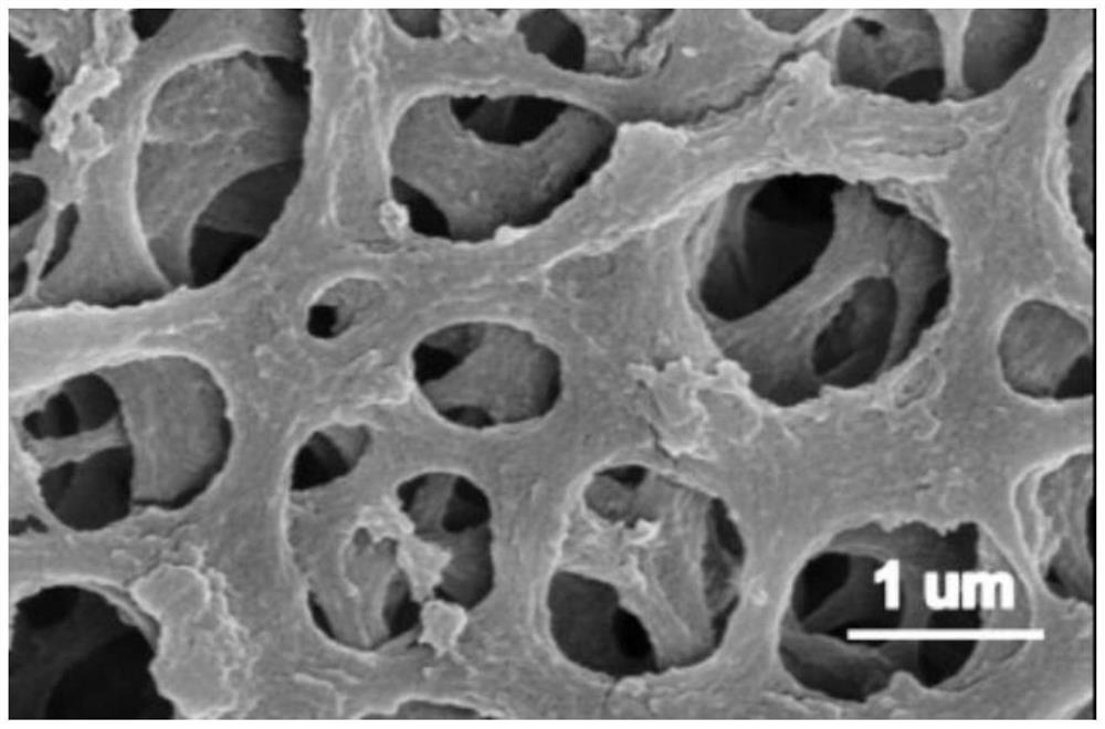 A kind of emodin molecularly imprinted titanium dioxide nanoparticle composite film and its preparation method and application