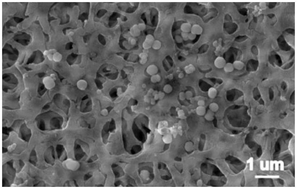 A kind of emodin molecularly imprinted titanium dioxide nanoparticle composite film and its preparation method and application