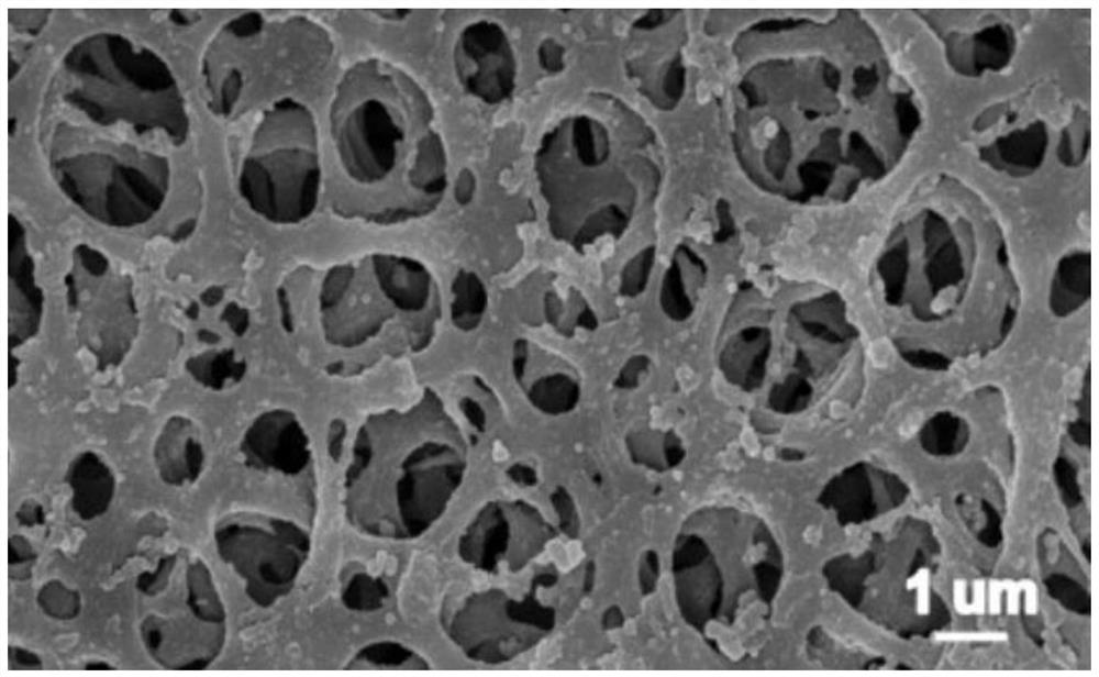 A kind of emodin molecularly imprinted titanium dioxide nanoparticle composite film and its preparation method and application