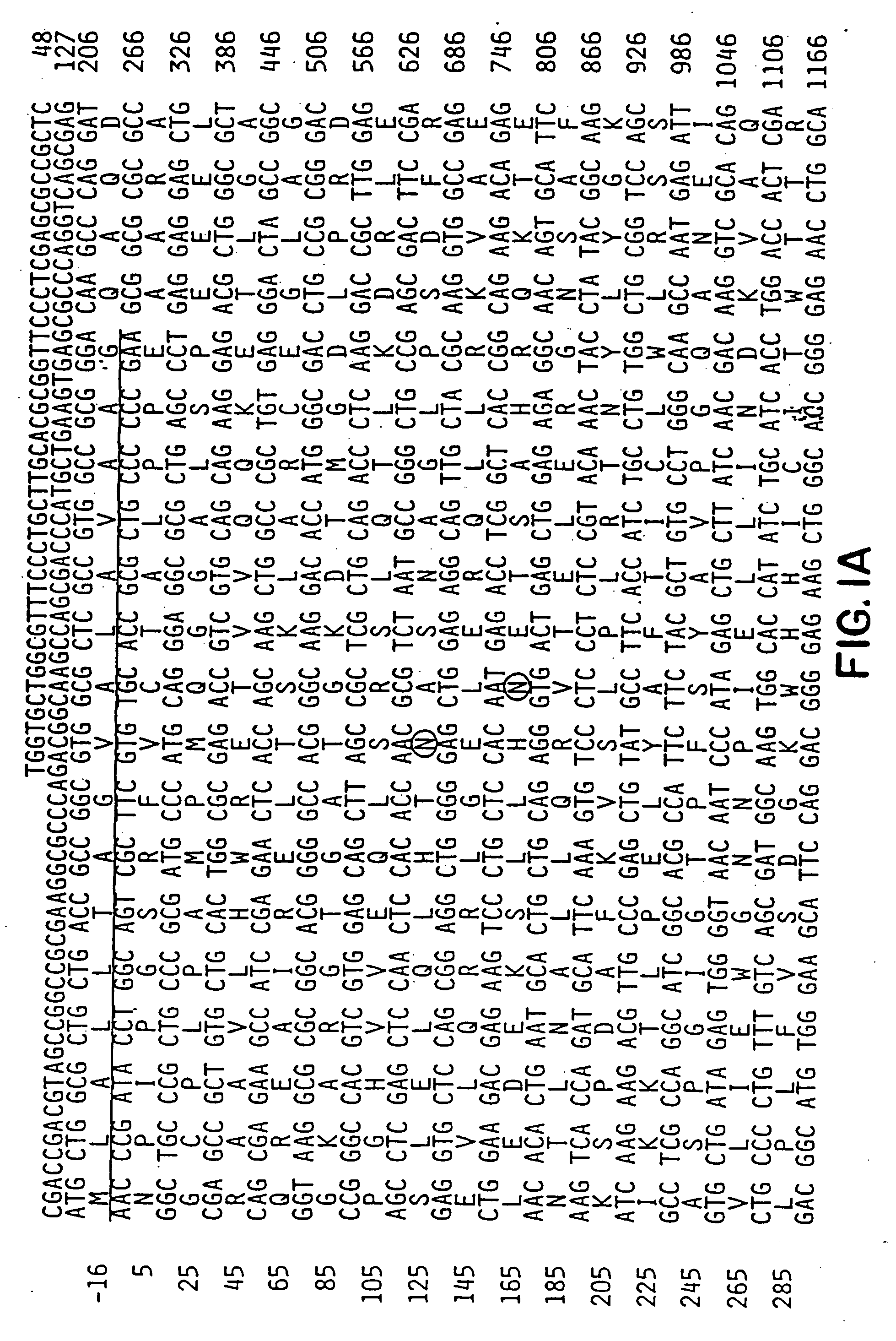 Method for identifying compounds which affect synaptogenesis