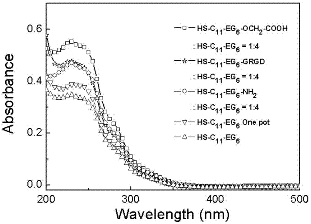 Application of thiol-polyethylene glycol in preparation of water-soluble gold nano-clusters