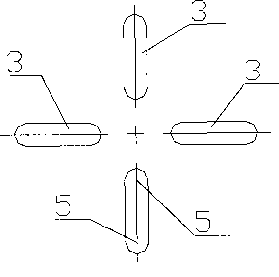 Strange-shaped fibre processing technique and spinning jet used in the technique