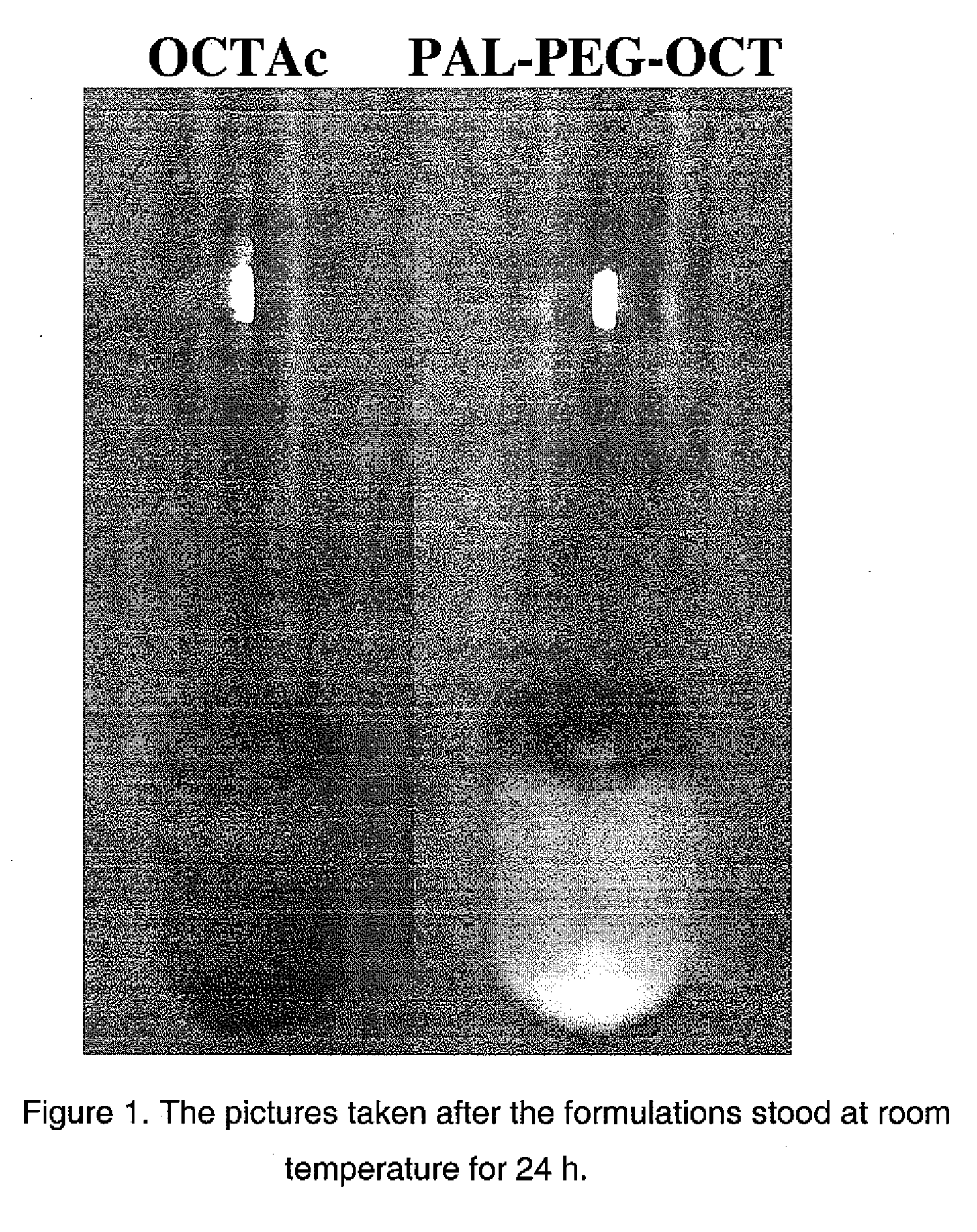 Composition for Sustained Release Delivery of Proteins or Peptides