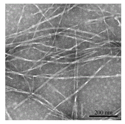 Method for inducing protein to form amyloid fiber through fibration segment