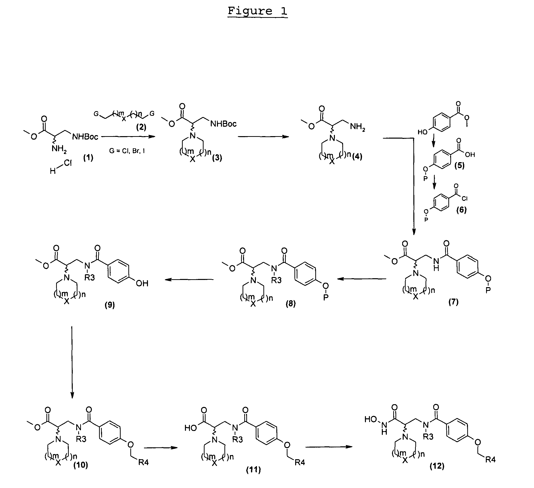 4-alkoxy-N-(2-hydroxycarbamoyl-2-piperidinyl-ethyl)-benzamide compounds as selective TACE-inhibitors for the treatment of inflammatory diseases