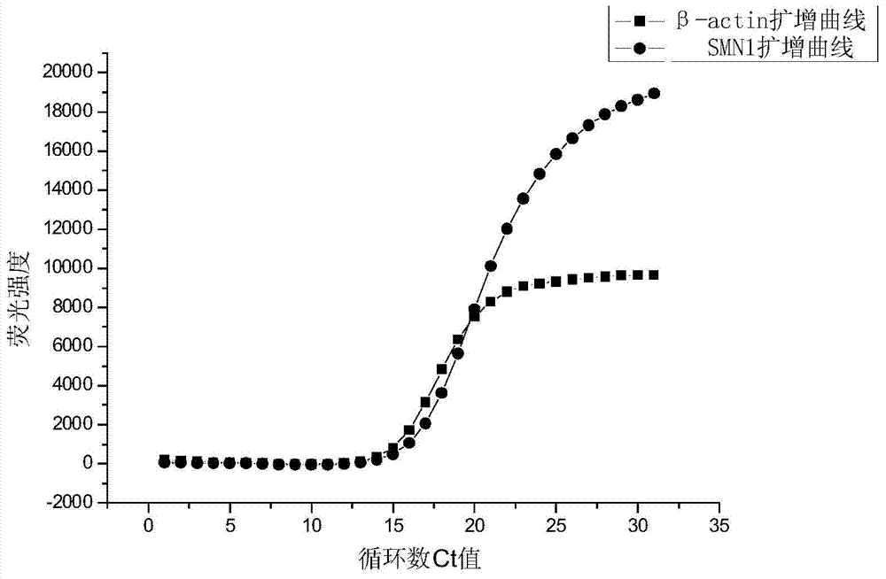 Primer and probe for screening spinal muscular atrophy (SMA) genes and using method of primer and probe