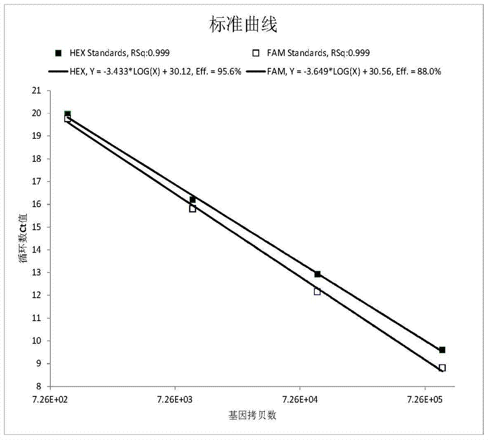 Primer and probe for screening spinal muscular atrophy (SMA) genes and using method of primer and probe