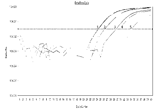 Method for quickly detecting duck-derived components in food