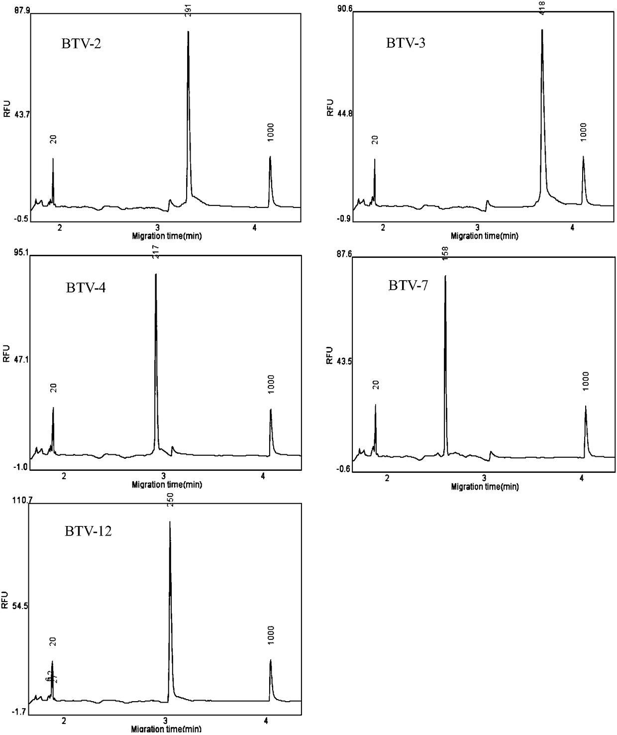 Multi-RT (reverse transcription)-PCR (polymerase chain reaction) reagent kit for genotyping identification of BTV (bluetongue virus) genotypes 2, 3, 4, 7 and 12 and detection method of BTV genotypes 2, 3, 4, 7 and 12