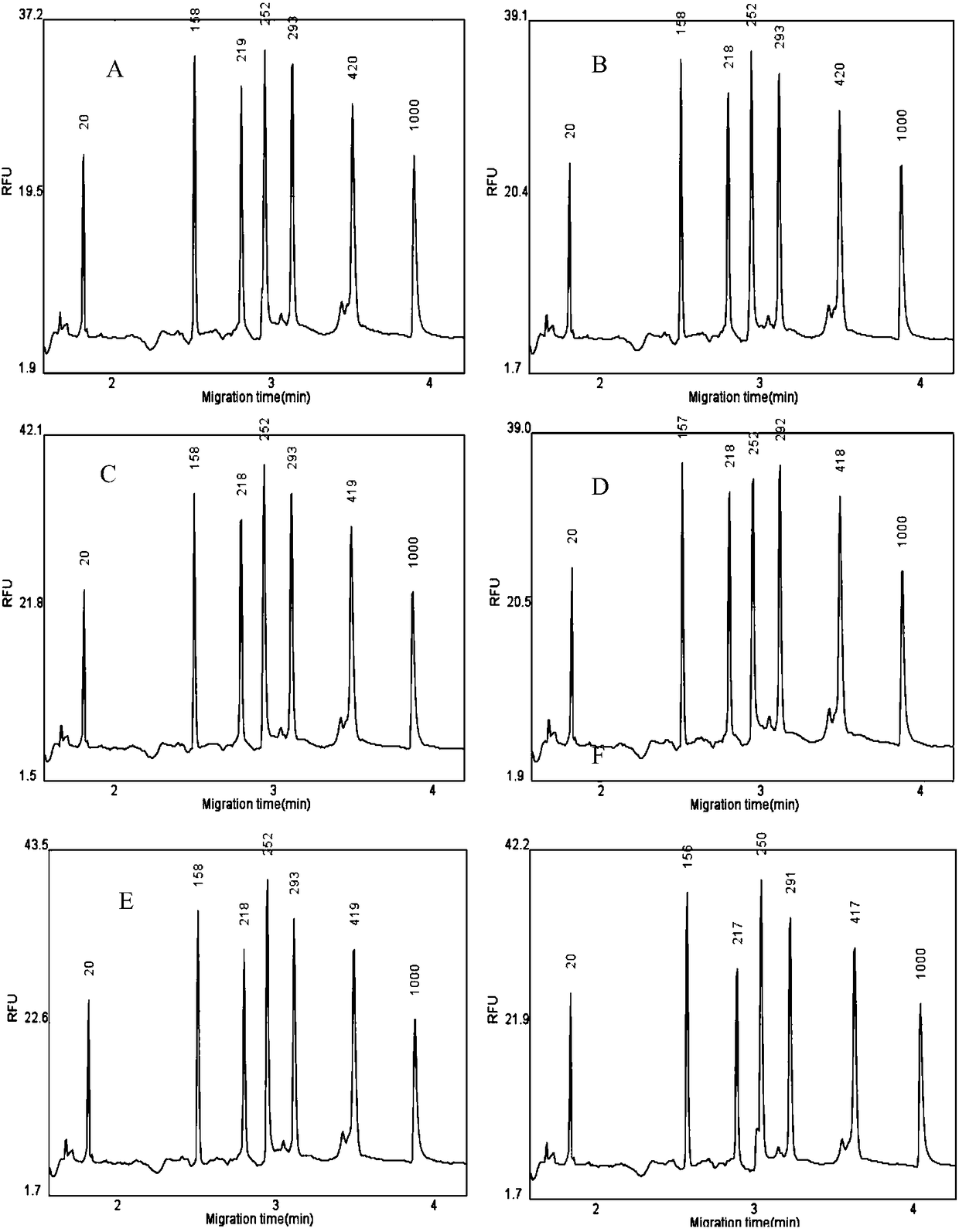 Multi-RT (reverse transcription)-PCR (polymerase chain reaction) reagent kit for genotyping identification of BTV (bluetongue virus) genotypes 2, 3, 4, 7 and 12 and detection method of BTV genotypes 2, 3, 4, 7 and 12