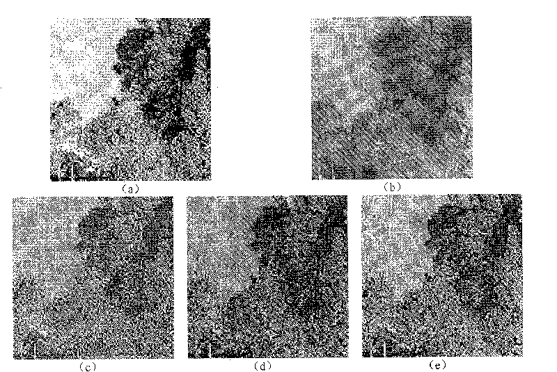 Method based on Contourlet transformation, modified type pulse coupling neural network, and image amalgamation