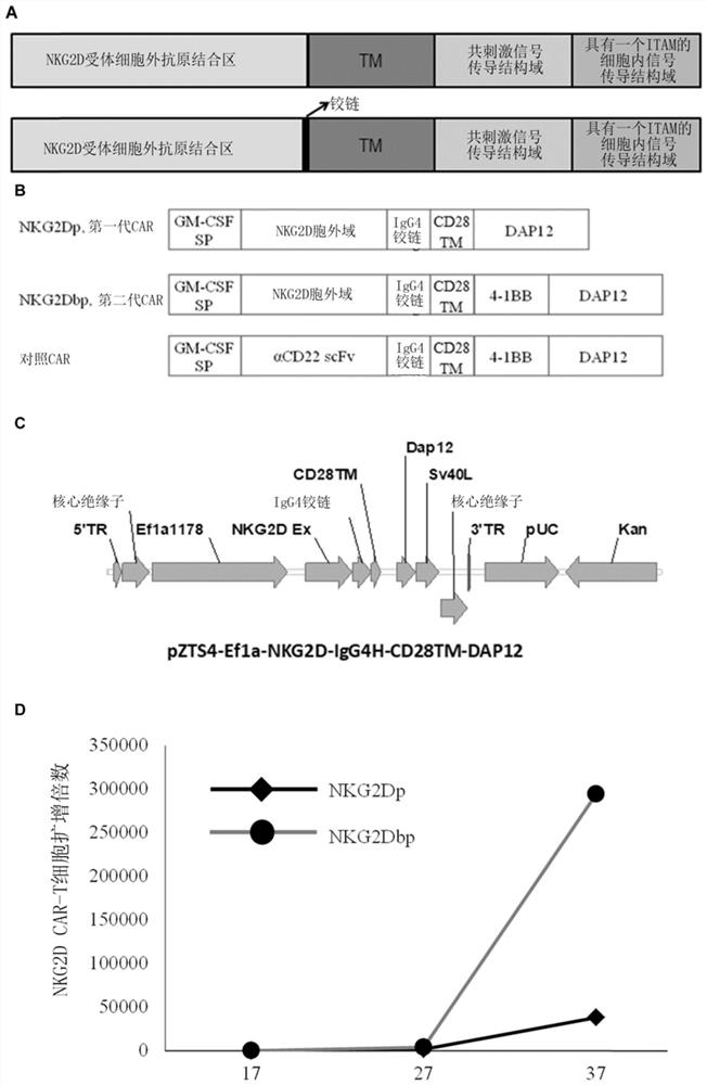 T cells modified with synthetic receptors containing single ITAM signaling motif