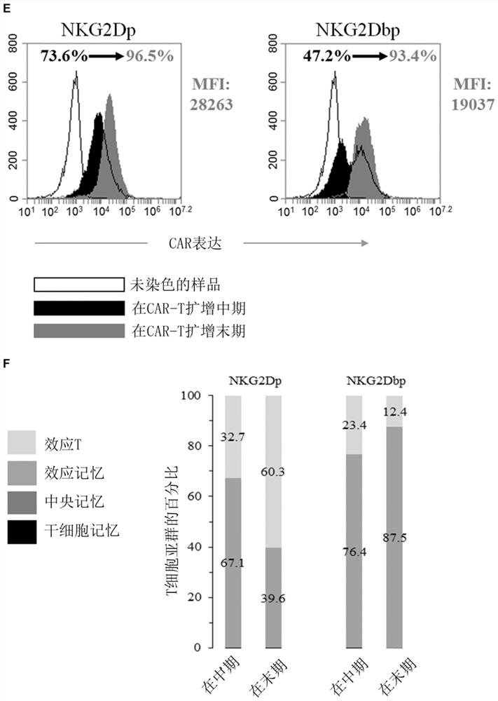 T cells modified with synthetic receptors containing single ITAM signaling motif