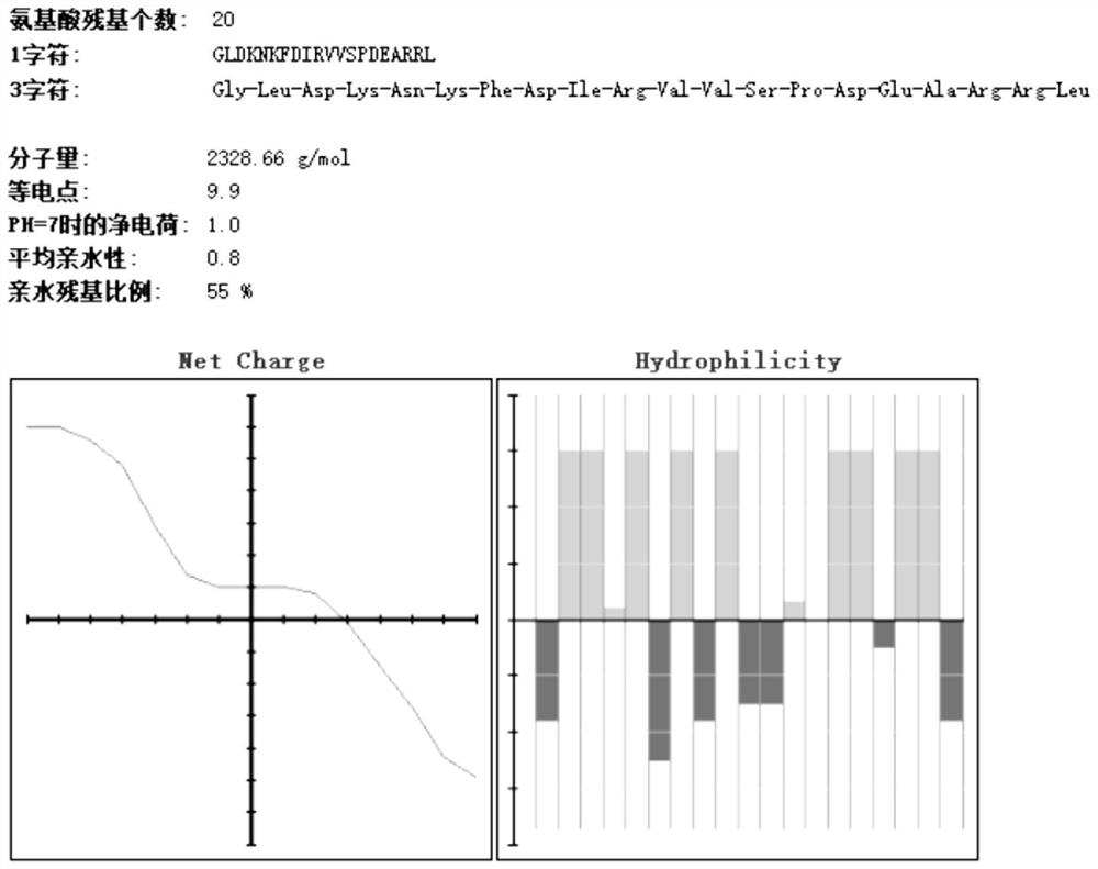 A tuberculosis polypeptide vaccine for preventing and treating tuberculosis and its preparation method and application