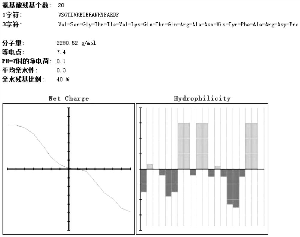 A tuberculosis polypeptide vaccine for preventing and treating tuberculosis and its preparation method and application