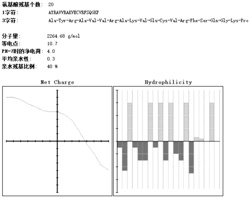 A tuberculosis polypeptide vaccine for preventing and treating tuberculosis and its preparation method and application