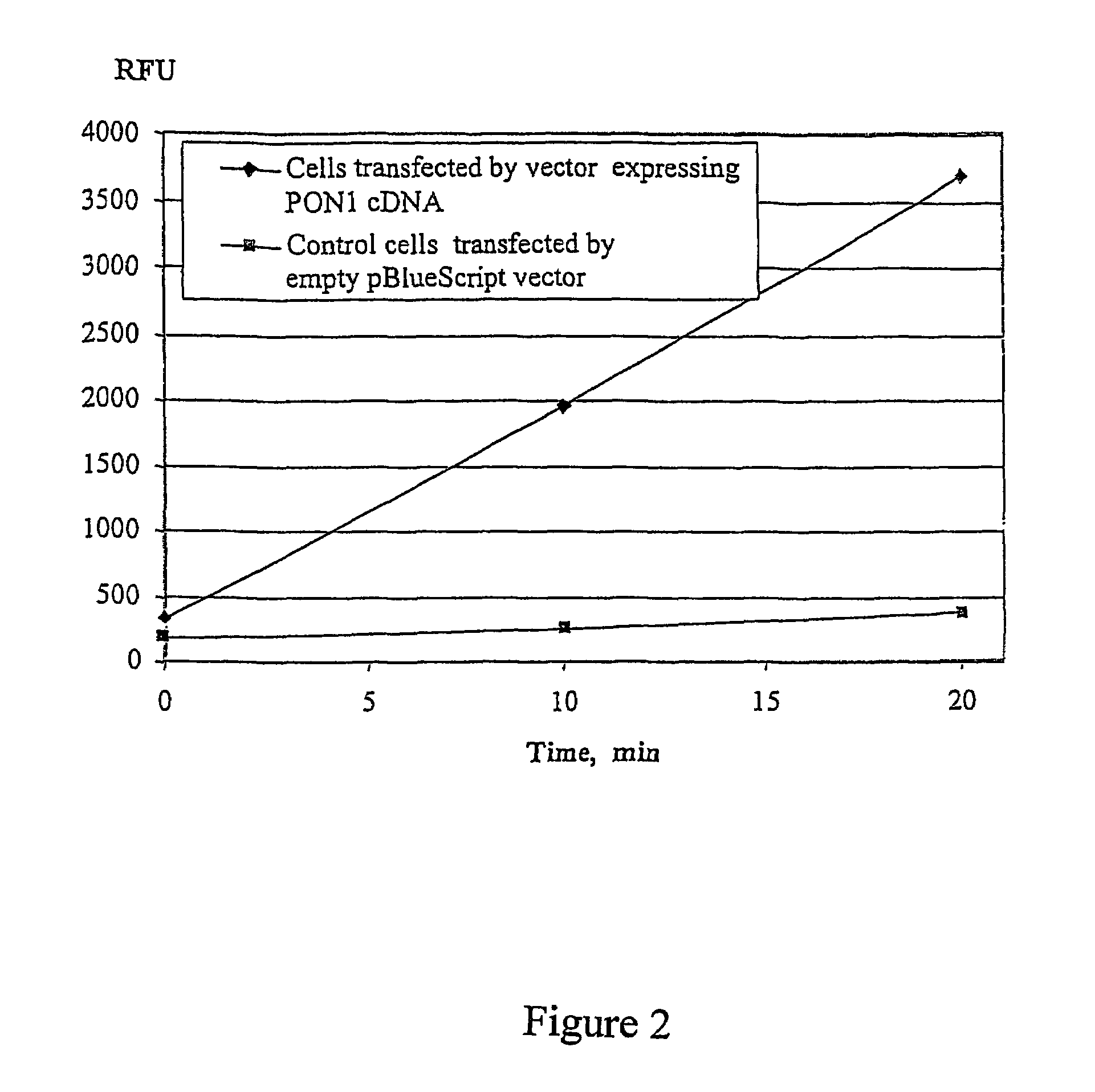 Fluorescent substrates for detecting organophosphatase enzyme activity