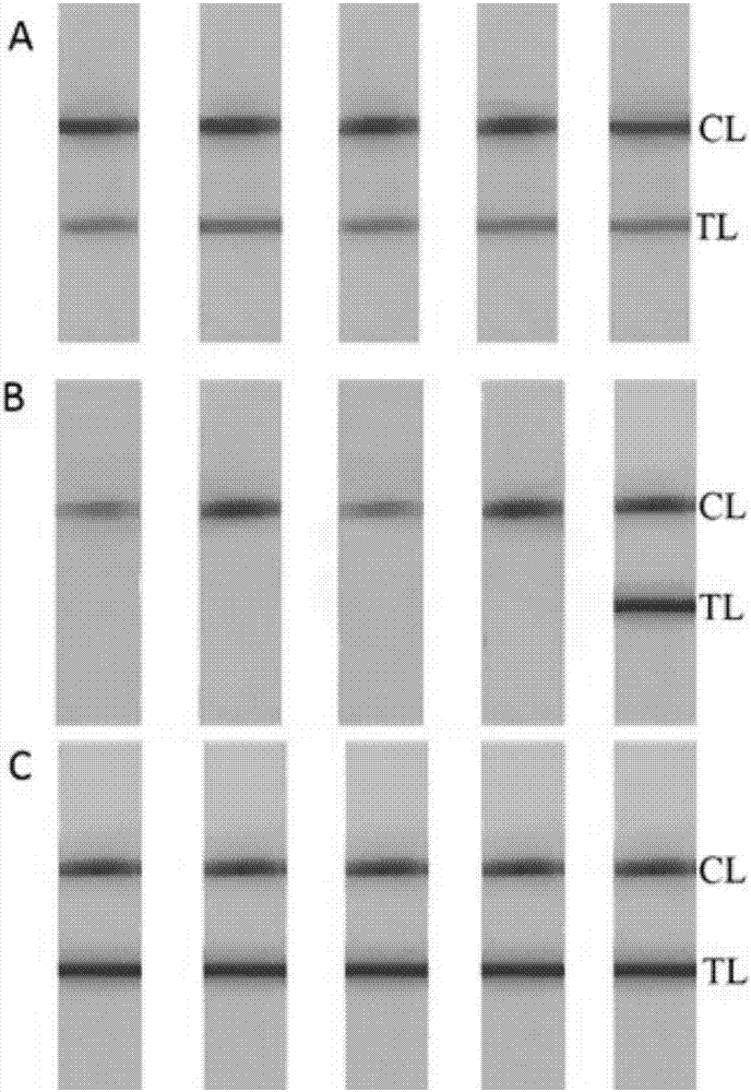Method for detecting enterobacter sakazakii based on nucleic acid chromatography biosensing technique