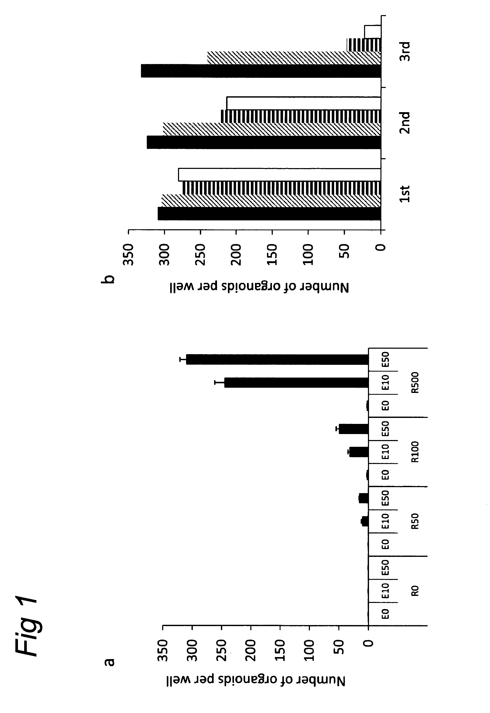 Culture medium for epithelial stem cells and organoids comprising the stem cells